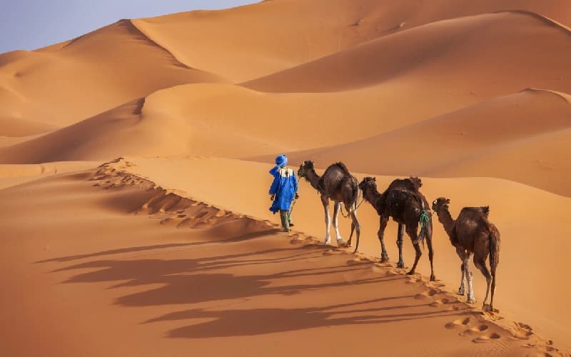 Zagora Marocco | Deserto Zagora Zagora Marocco | Deserto Zagora